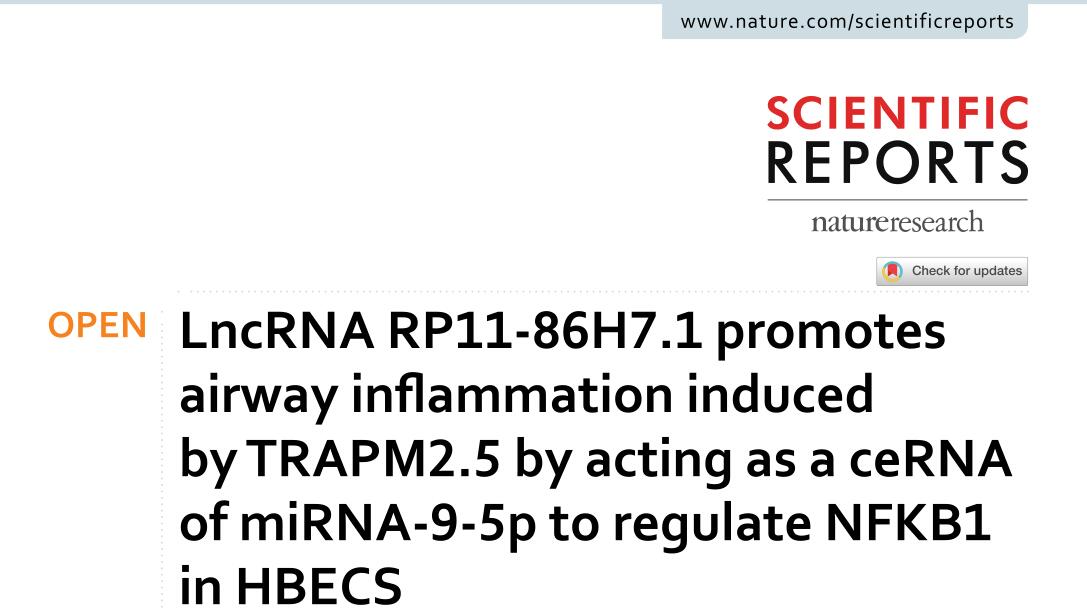 LncRNA RP11-86H7.1 promotes airway inflammation induced by TRAPM2.5 by acting as a ceRNA of miRNA-9-5