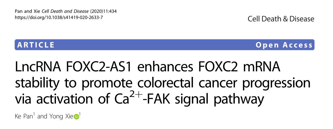 LncRNA FOXC2-AS1 enhances FOXC2 mRNA stability to promote colorectal cancer progression via activatio