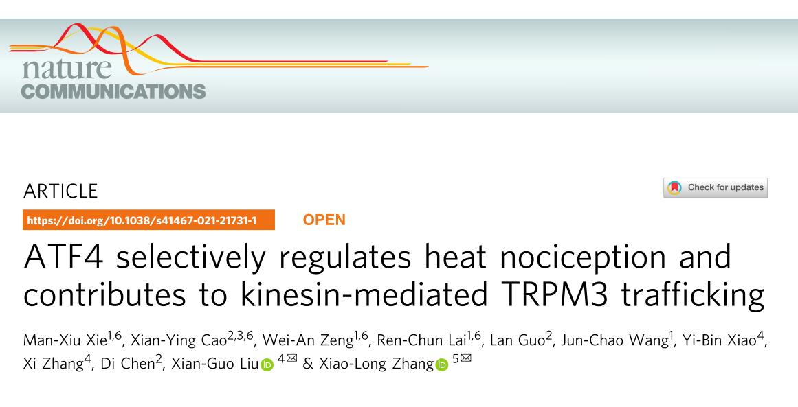 ATF4 selectively regulates heat nociception and contributes to kinesin-mediated TRPM3 trafficking
