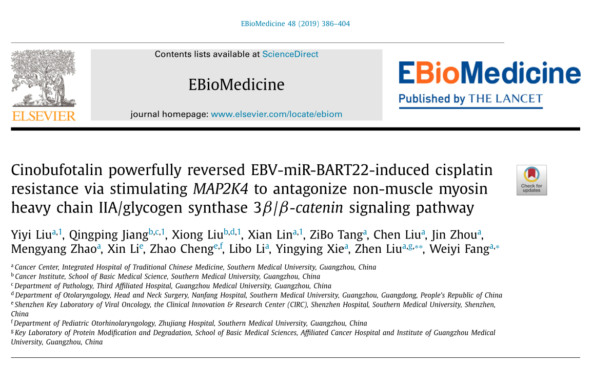 Cinobufotalin powerfully reversed EBV-miR-BART22-induced cisplatin resistance via stimulating MAP2K4 