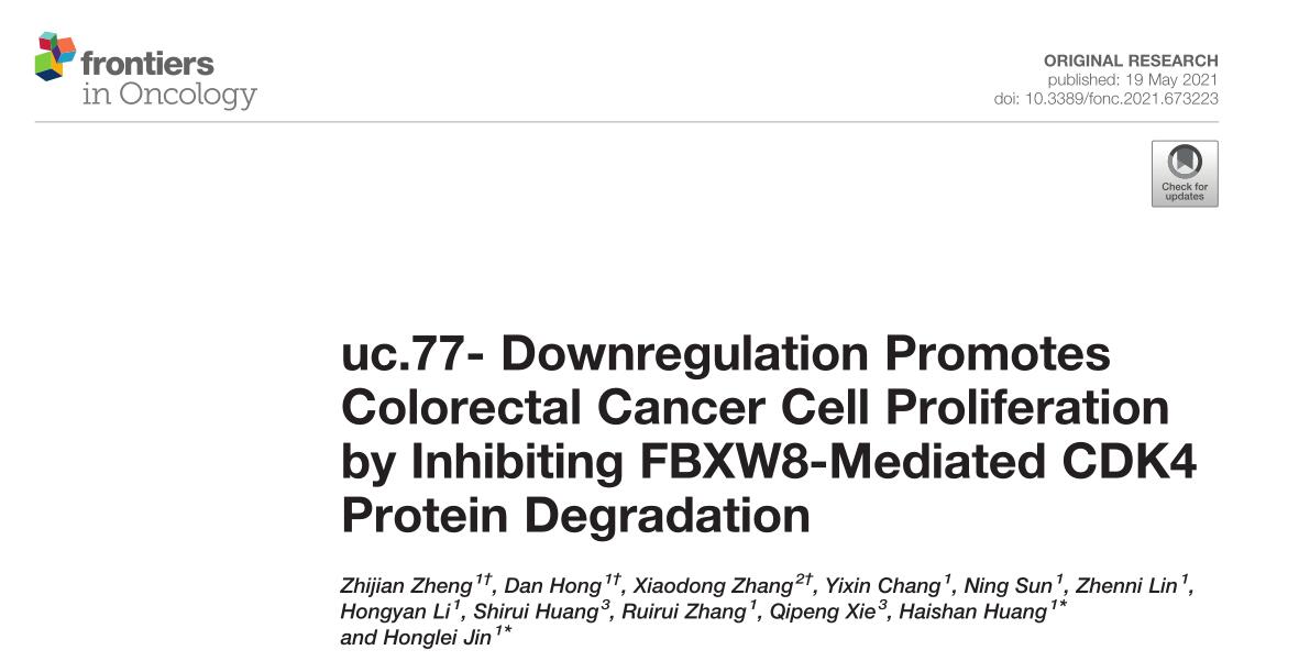 uc.77- Downregulation Promotes Colorectal Cancer Cell Proliferation by Inhibiting FBXW8-Mediated CDK4