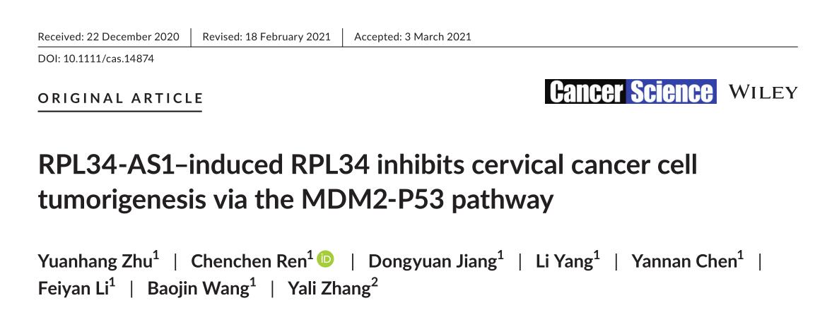 RPL34-AS1-induced RPL34 inhibits cervical cancer cell tumorigenesis via the MDM2-P53 pathway