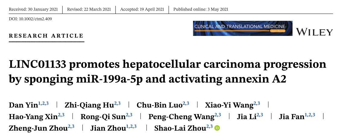 LINC01133 promotes hepatocellular carcinoma progression by sponging miR-199a-5p and activating annexi