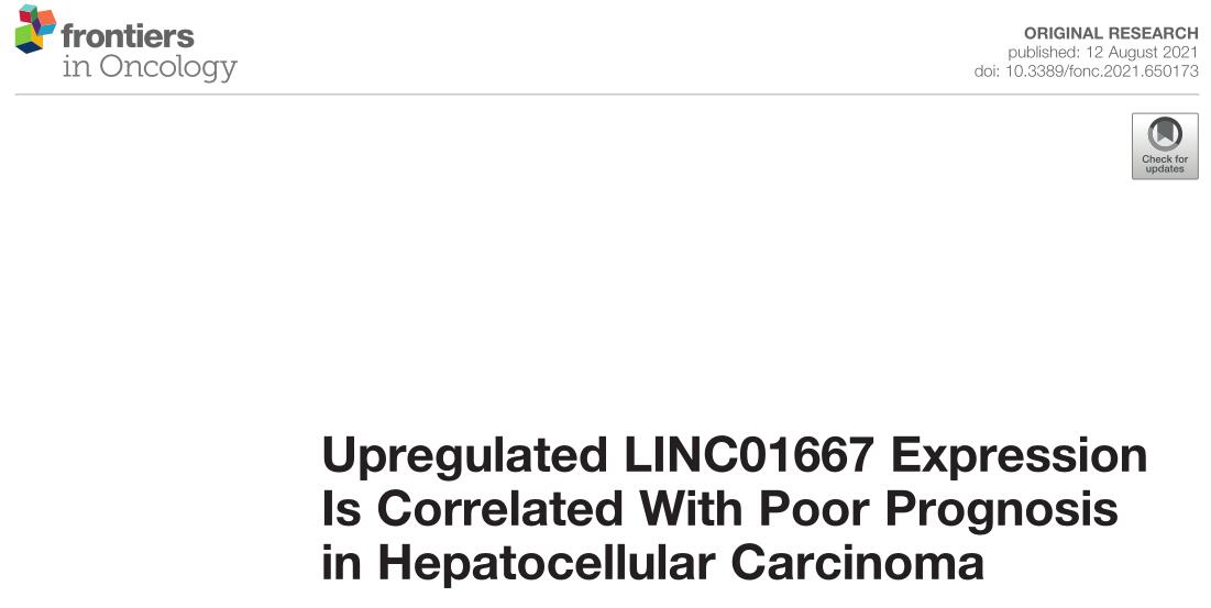 Upregulated LINC01667 Expression Is Correlated With Poor Prognosis in Hepatocellular Carcinoma
